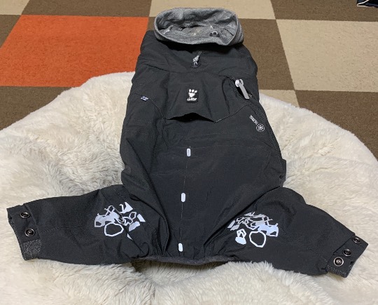 生き物ルーム第52