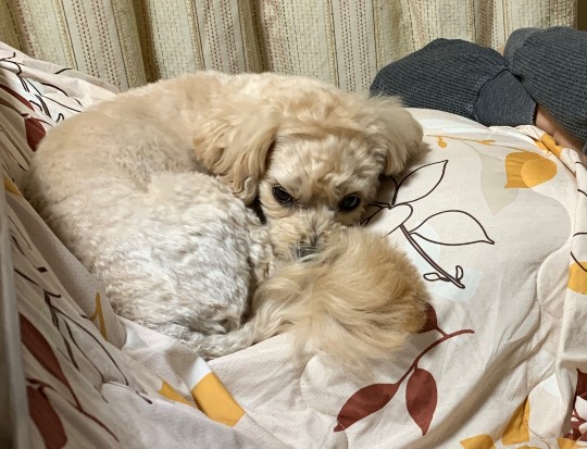 生き物ルーム第53