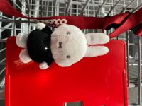 落とし物　ミッフィー