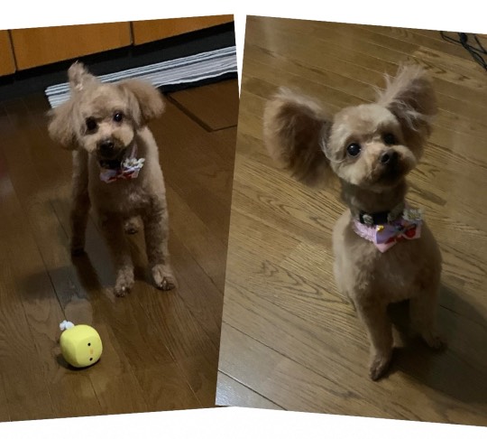 生き物ルーム第53