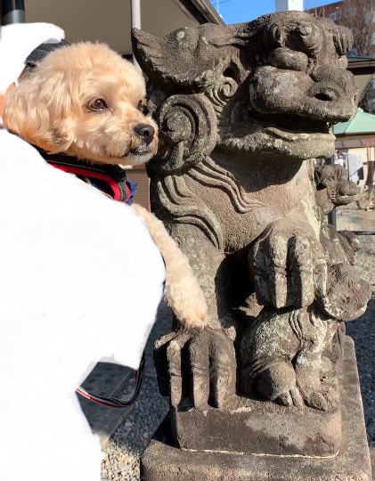 生き物ルーム第52