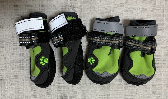 生き物ルーム第52