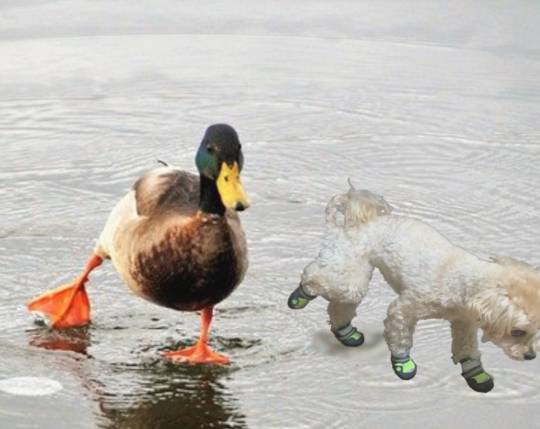 生き物ルーム第52