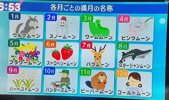 ★ドンキ♡♡ロピア 雑談55★