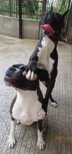 生き物ルーム第53