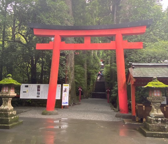 ★ドンキ♡♡ロピア 雑談55★