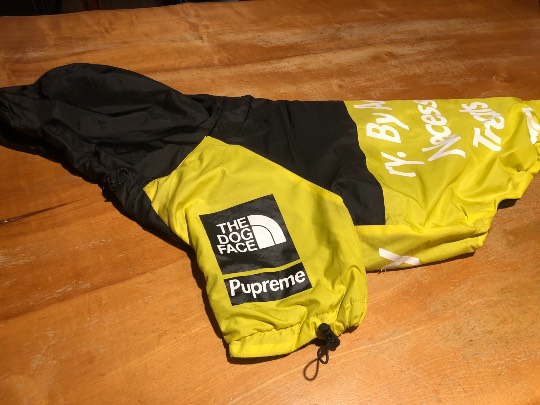 生き物ルーム第52