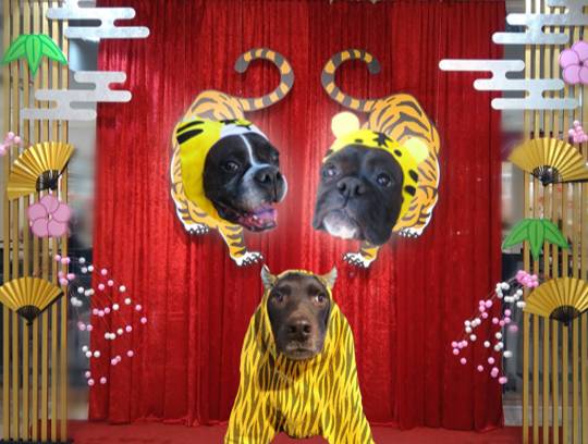 生き物ルーム第52