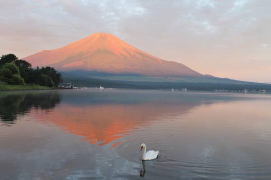 あつまれ！！雑談&amp;ゲーム･アニメ･漫画好きの森　season２#９