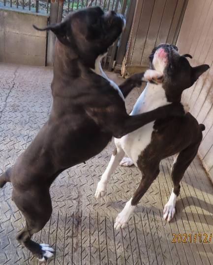 生き物ルーム第53