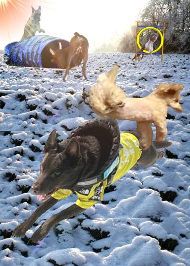 生き物ルーム第52