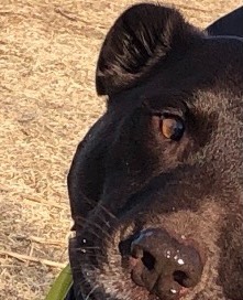 生き物ルーム第53