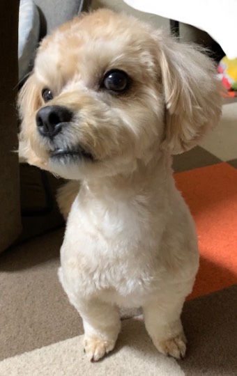 生き物ルーム第53