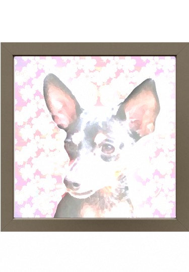 生き物ルーム第52