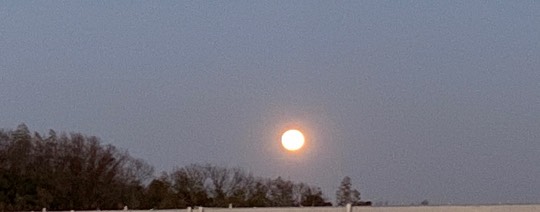 ★ドンキ♡♡ロピア 雑談55★