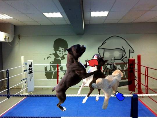 生き物ルーム第53