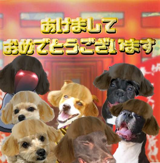 生き物ルーム第52