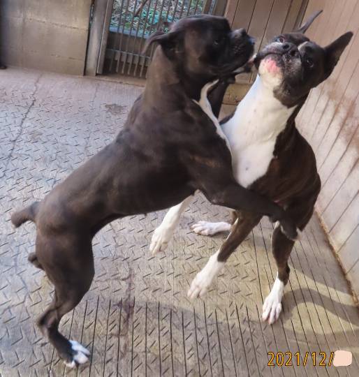 生き物ルーム第53