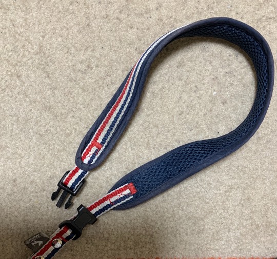 生き物ルーム第52