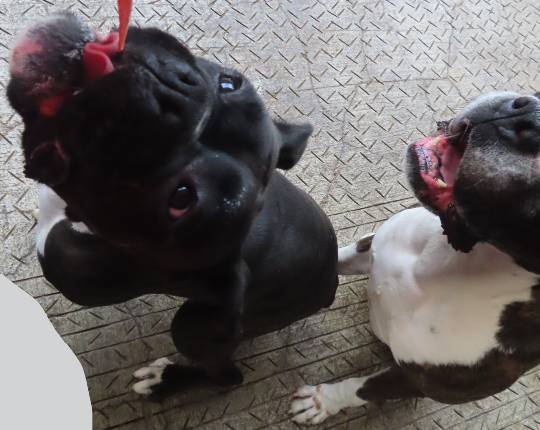 生き物ルーム第53