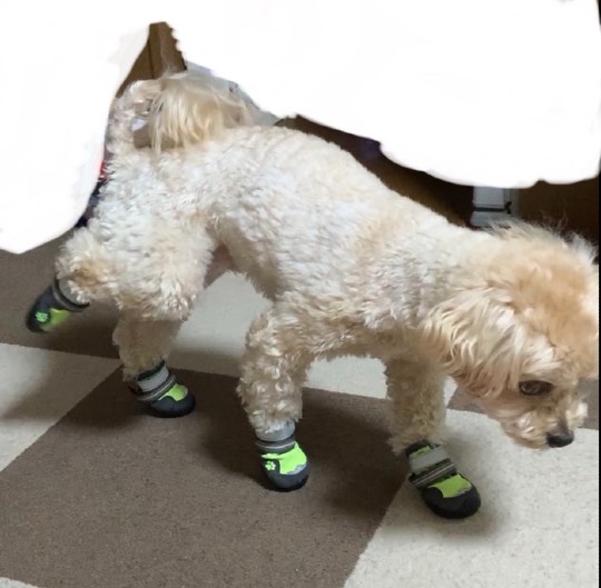 生き物ルーム第52