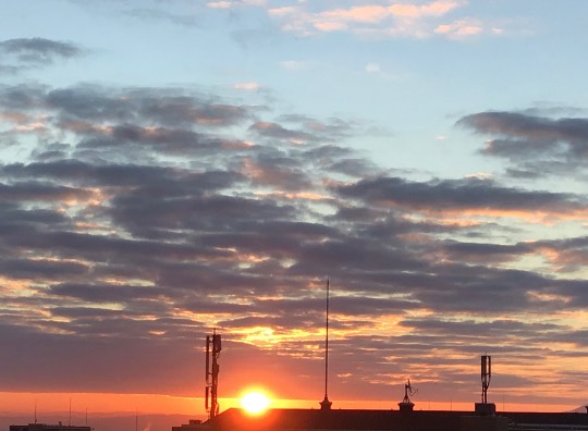 ★ドンキ♡♡ロピア 雑談54★