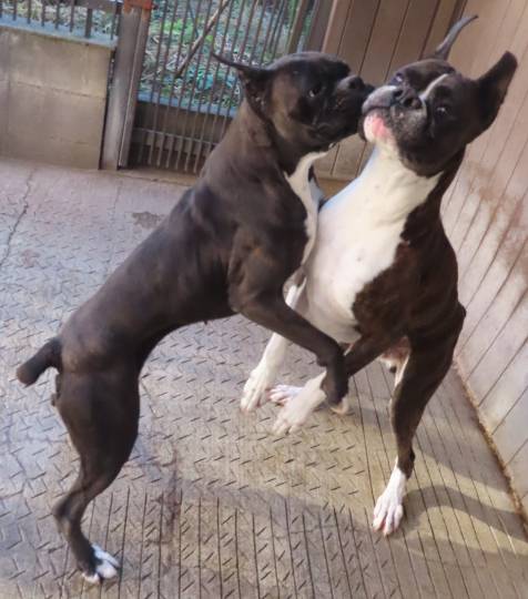 生き物ルーム第53