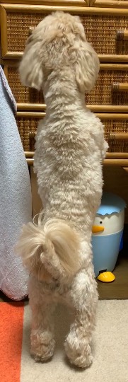 生き物ルーム第52