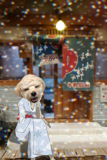 生き物ルーム第53