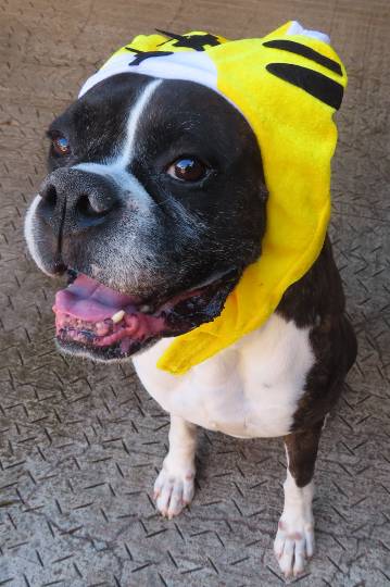 生き物ルーム第52