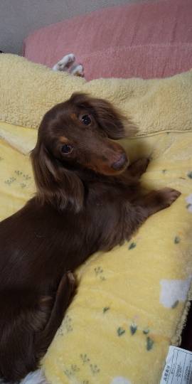 生き物ルーム第53