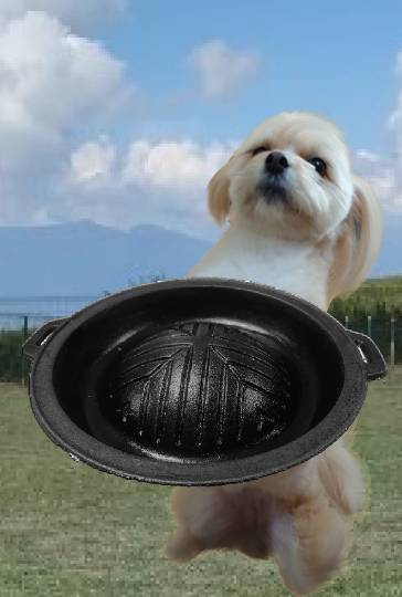 生き物ルーム第53