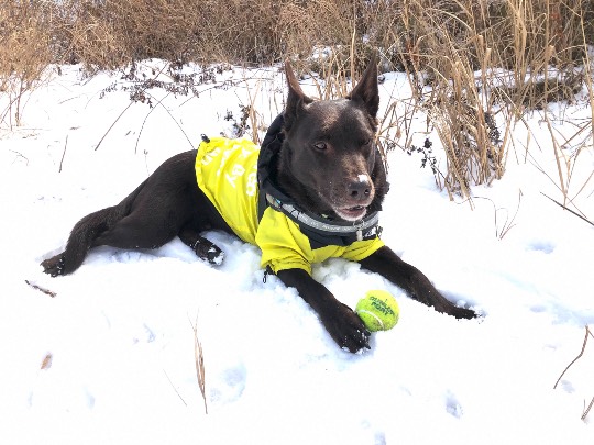 生き物ルーム第52
