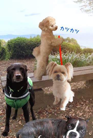 生き物ルーム第52