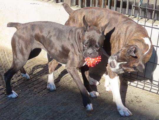 生き物ルーム第52