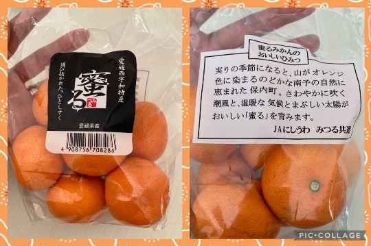 あつまれ！！雑談&amp;ゲーム･アニメ･漫画好きの森　season２#９