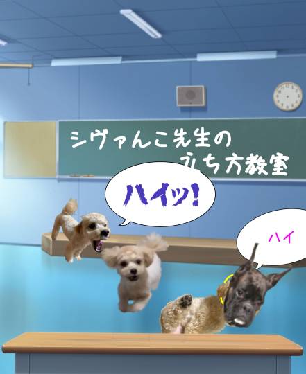 生き物ルーム第52