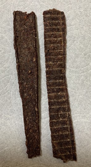 生き物ルーム第52