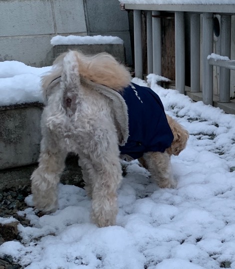 生き物ルーム第52