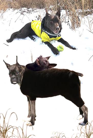 生き物ルーム第52