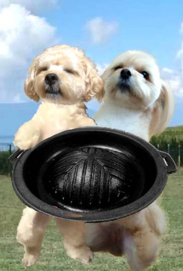 生き物ルーム第53