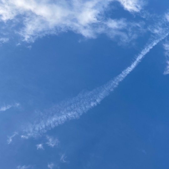 あつまれ！！雑談&amp;ゲーム･アニメ･漫画好きの森　season２#９