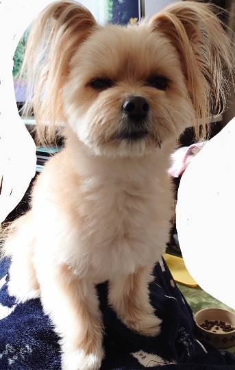 生き物ルーム第52