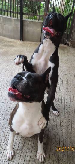 生き物ルーム第53