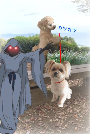 生き物ルーム第52