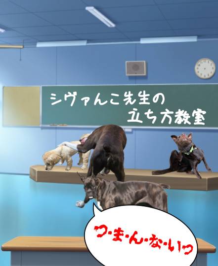 生き物ルーム第52