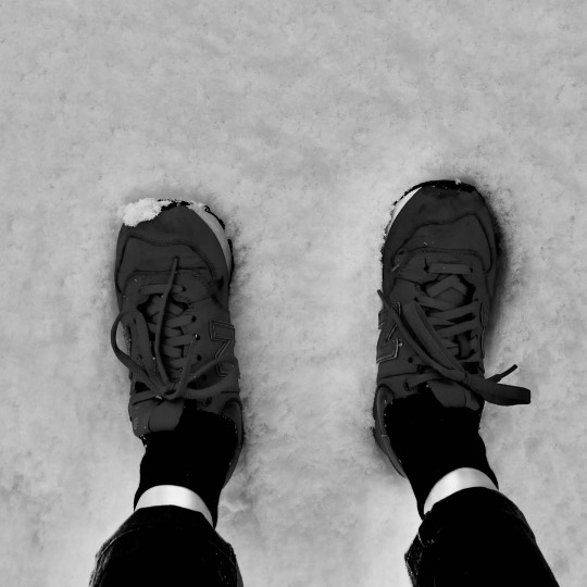 あつまれ！！雑談&amp;ゲーム･アニメ･漫画好きの森　season２#９