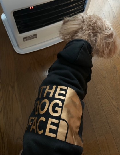 生き物ルーム第52