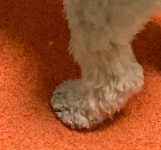 生き物ルーム第53