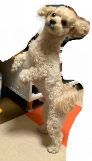 生き物ルーム第52